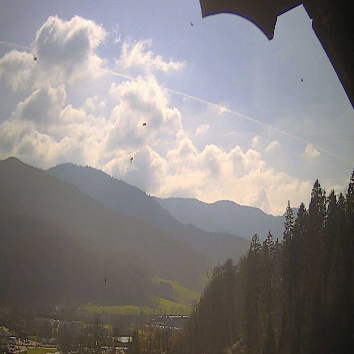 Schallstadt webcam