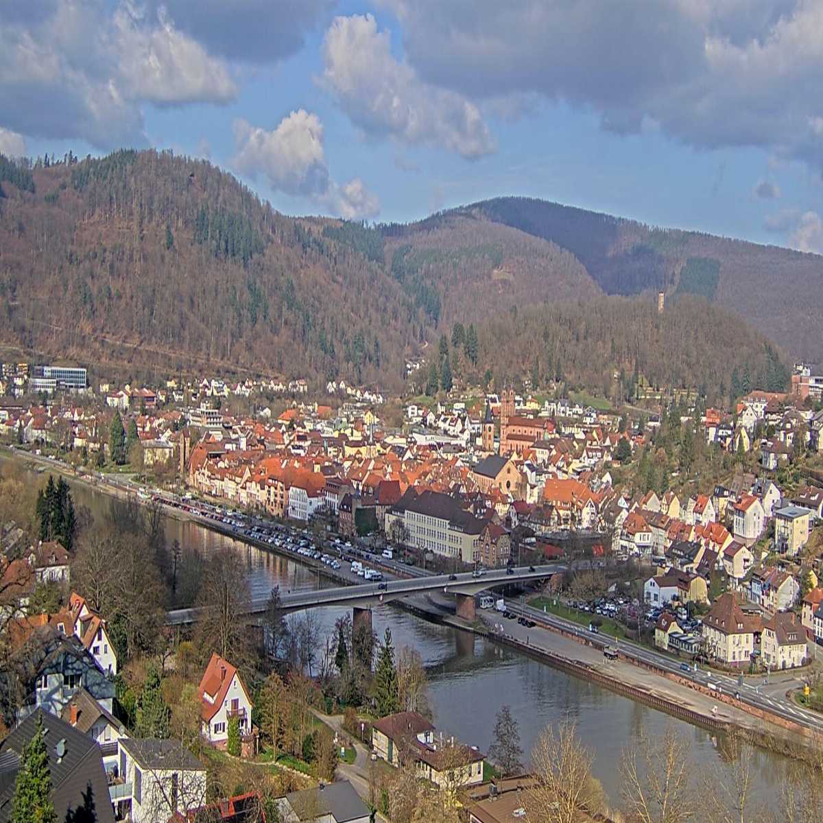 Schallstadt webcam