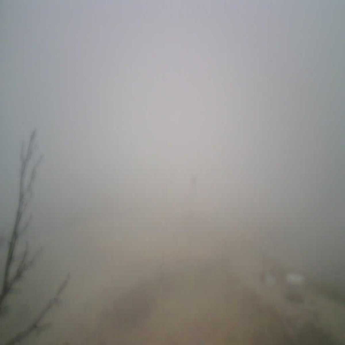 Zachenberg webcam
