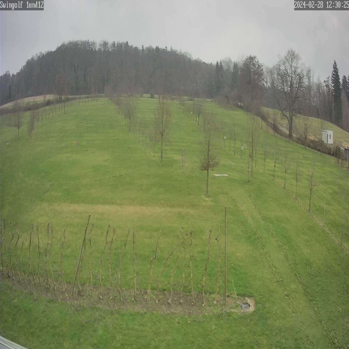 Schallstadt webcam