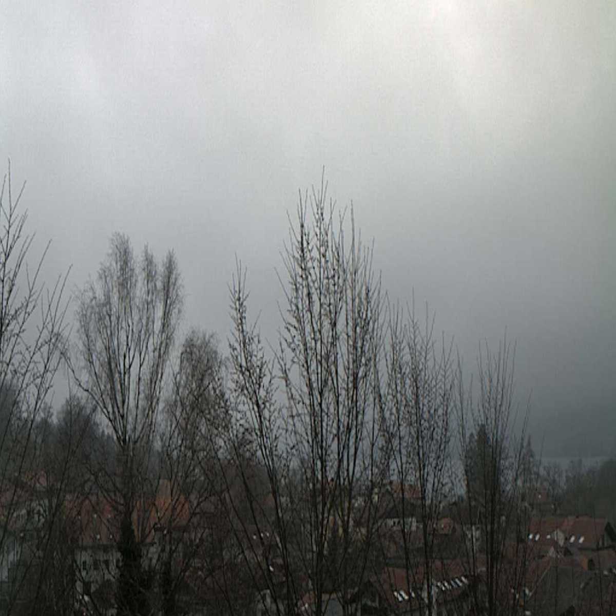 Zachenberg webcam