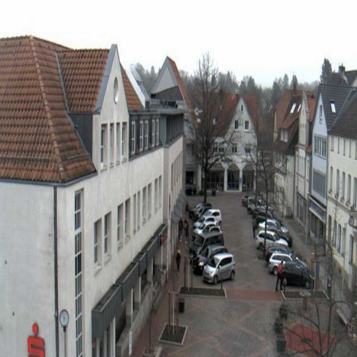 Reppenstedt webcam
