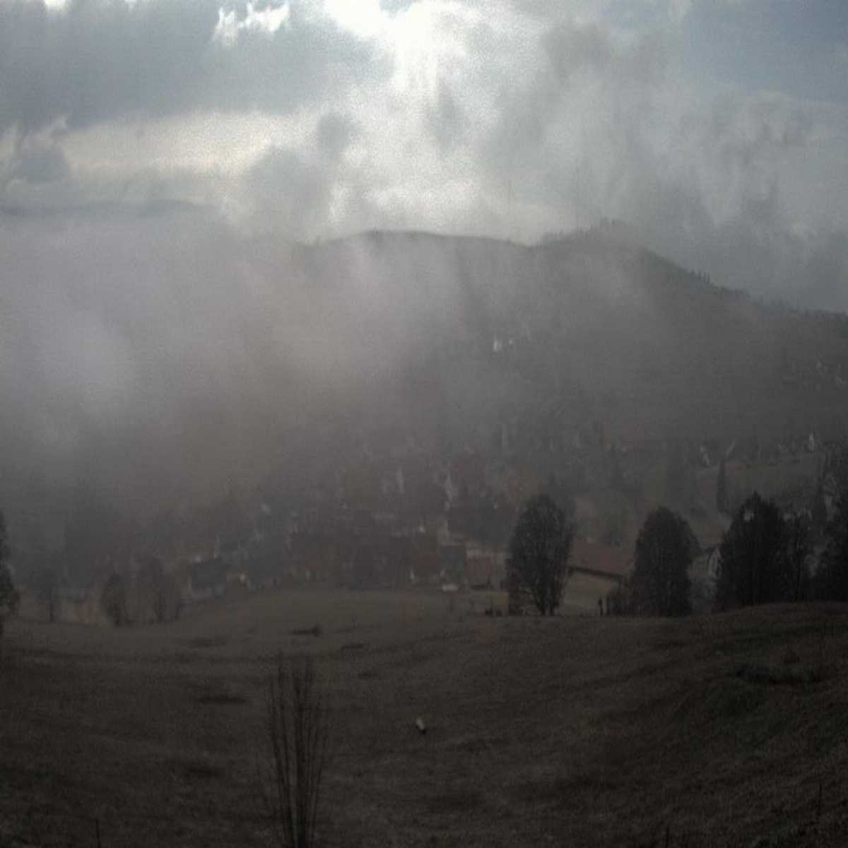 Schallstadt webcam