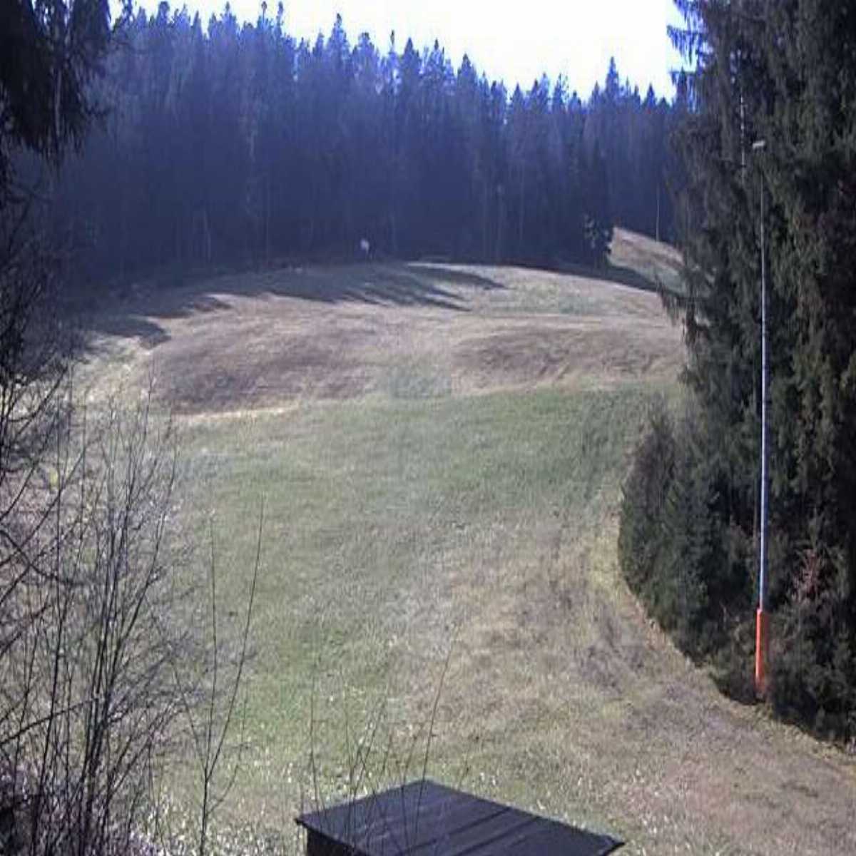 Schallstadt webcam