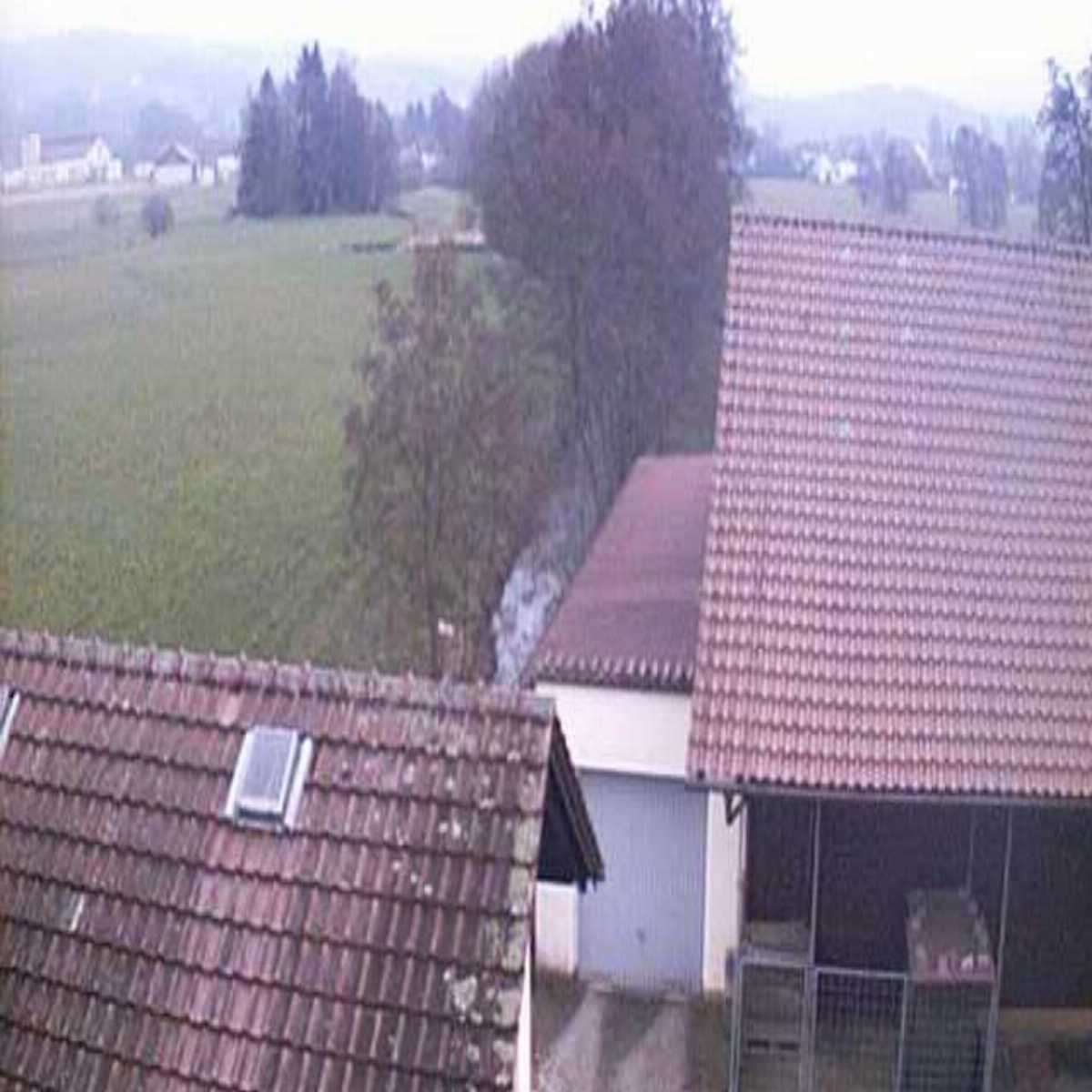 Zachenberg webcam