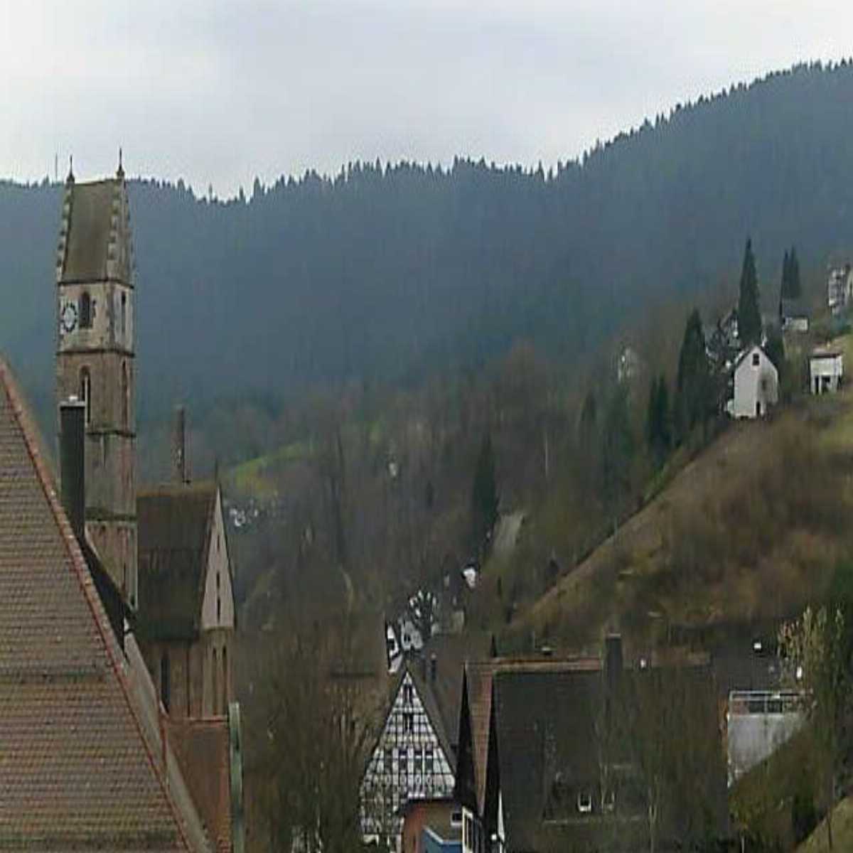 Schallstadt webcam