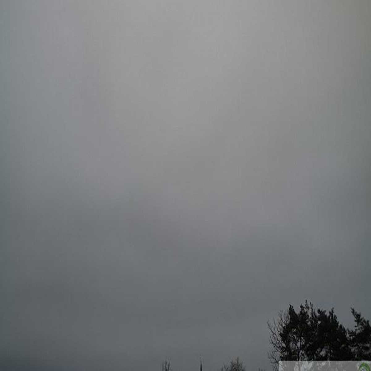 Schallstadt webcam