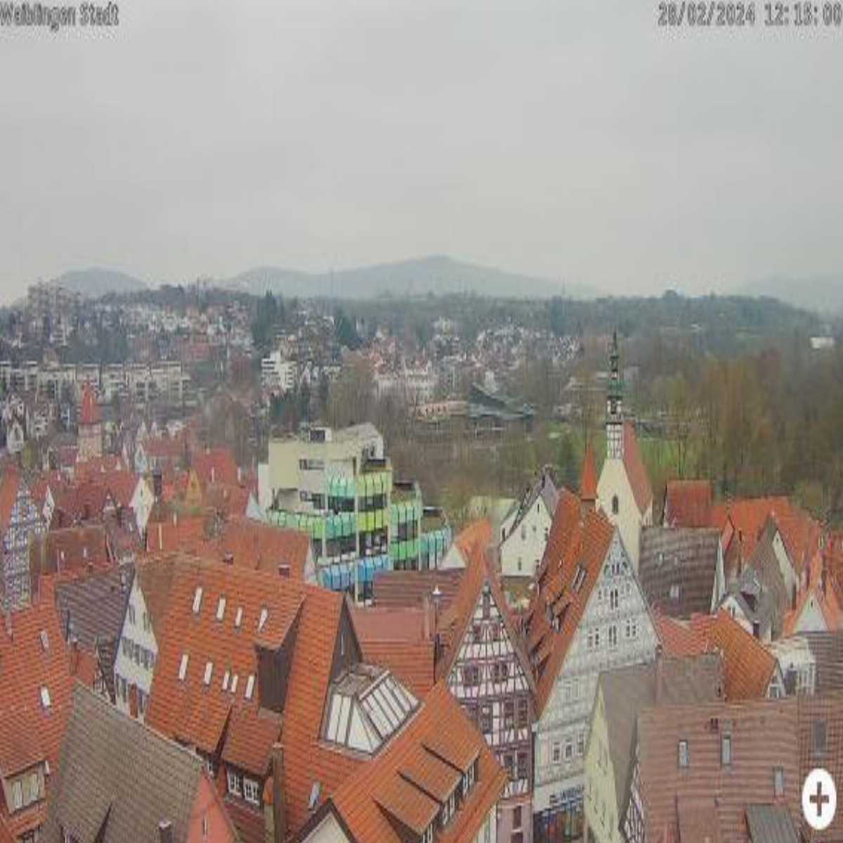 Schallstadt webcam