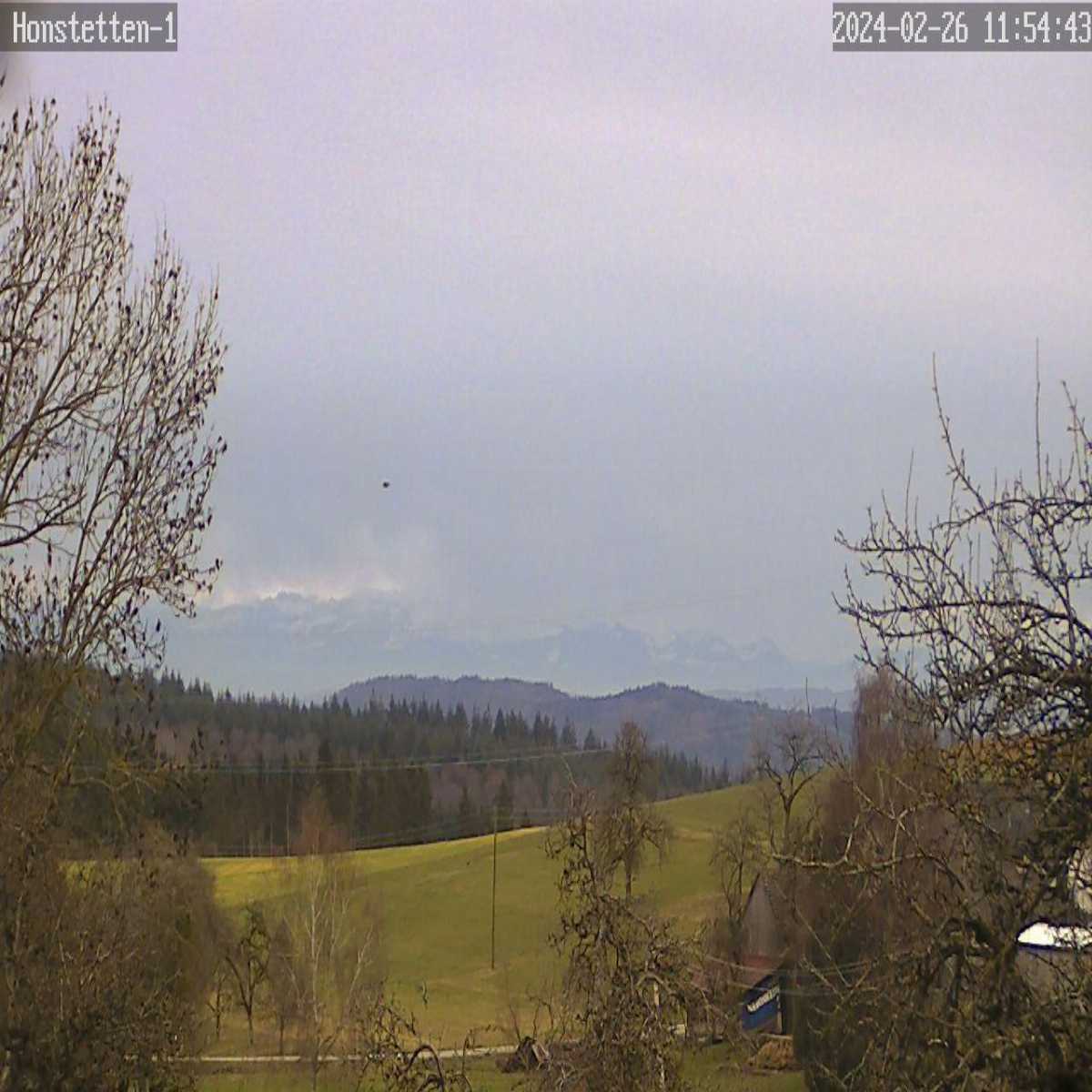 Schallstadt webcam