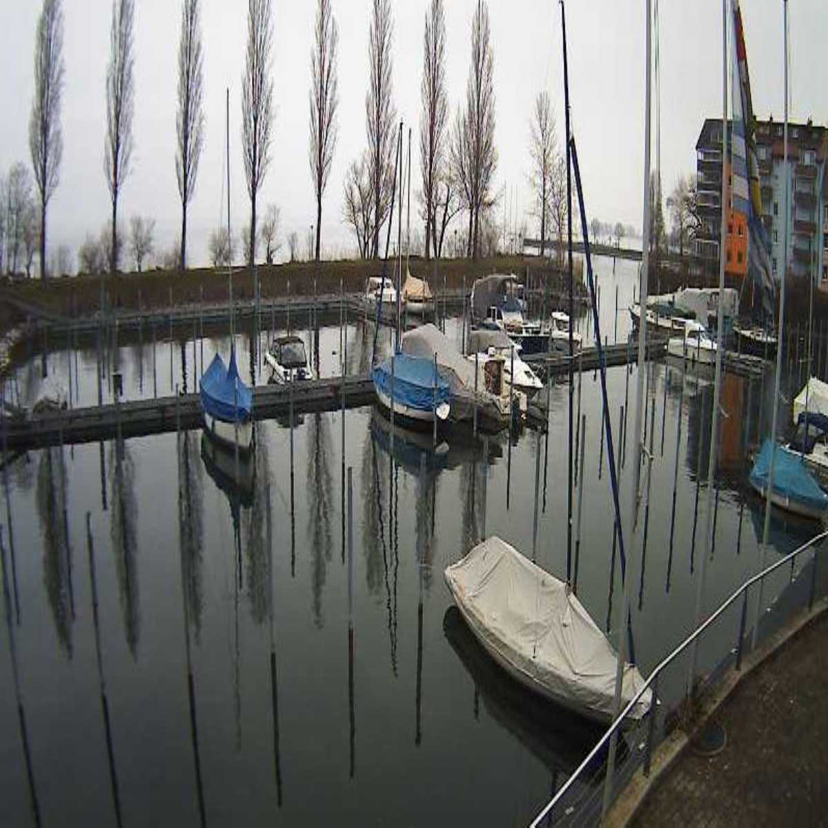 Wildhaus webcam