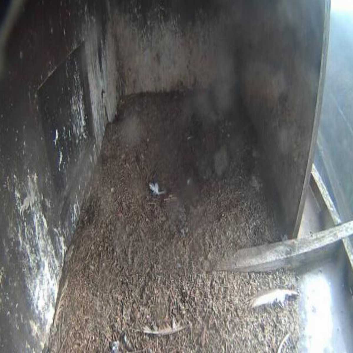 Riesenbeck webcam
