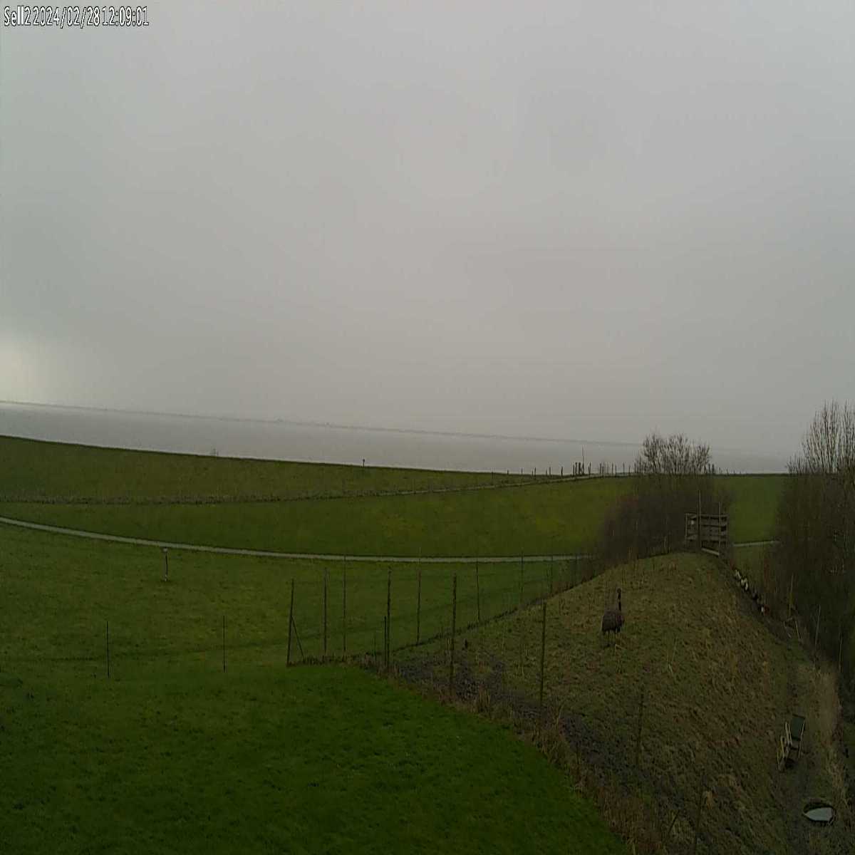 Reinbek webcam