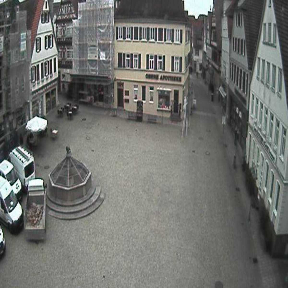 Schallstadt webcam