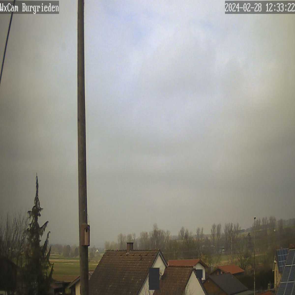 Schallstadt webcam