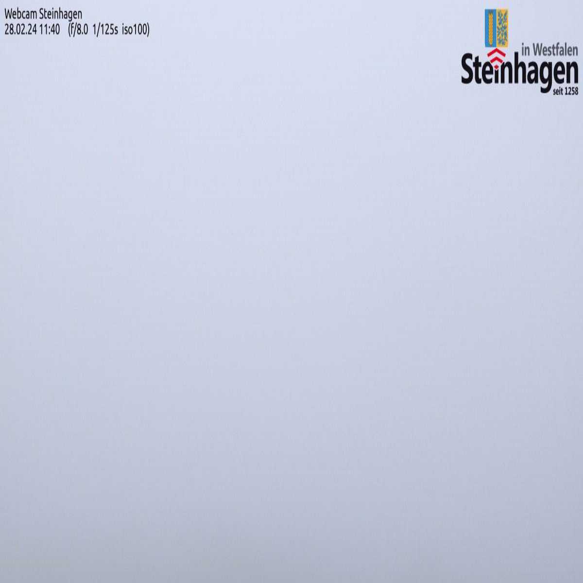 Riesenbeck webcam