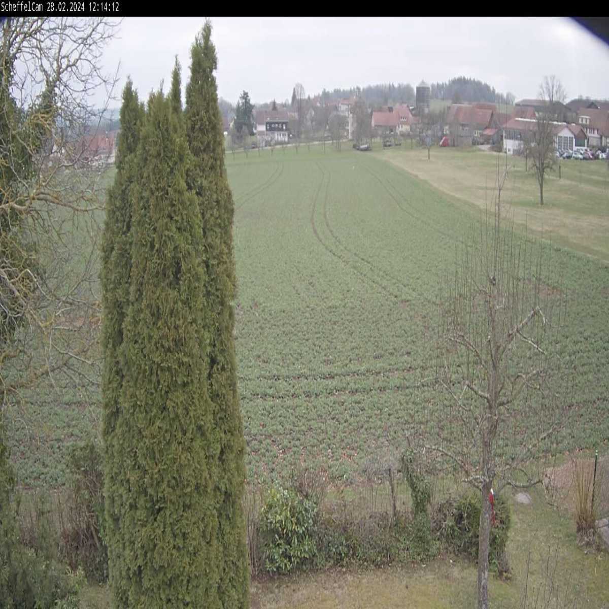 Schallstadt webcam