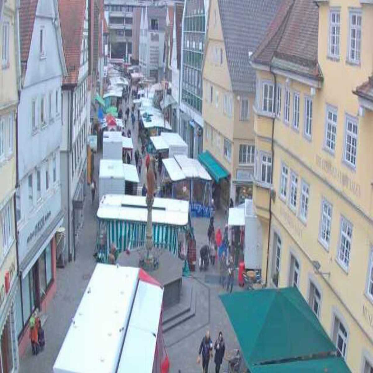 Schallstadt webcam