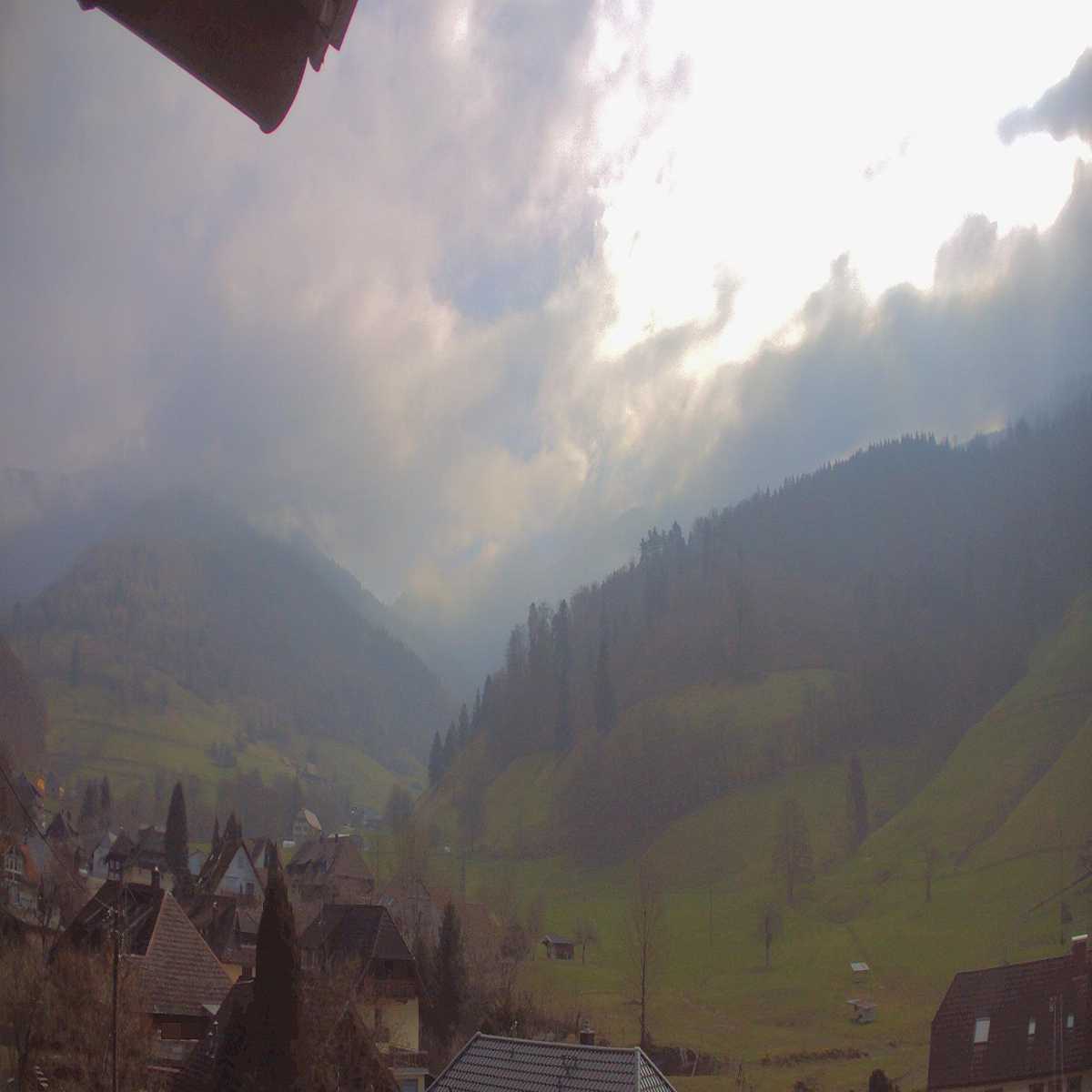 Schallstadt webcam