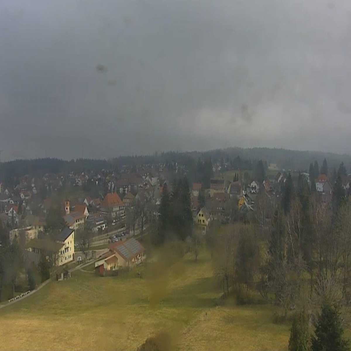Schallstadt webcam