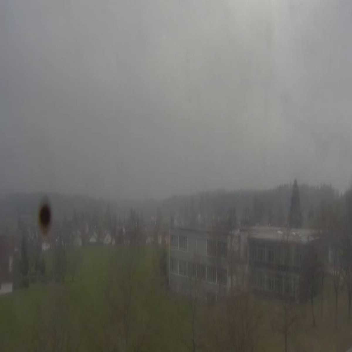 Schallstadt webcam