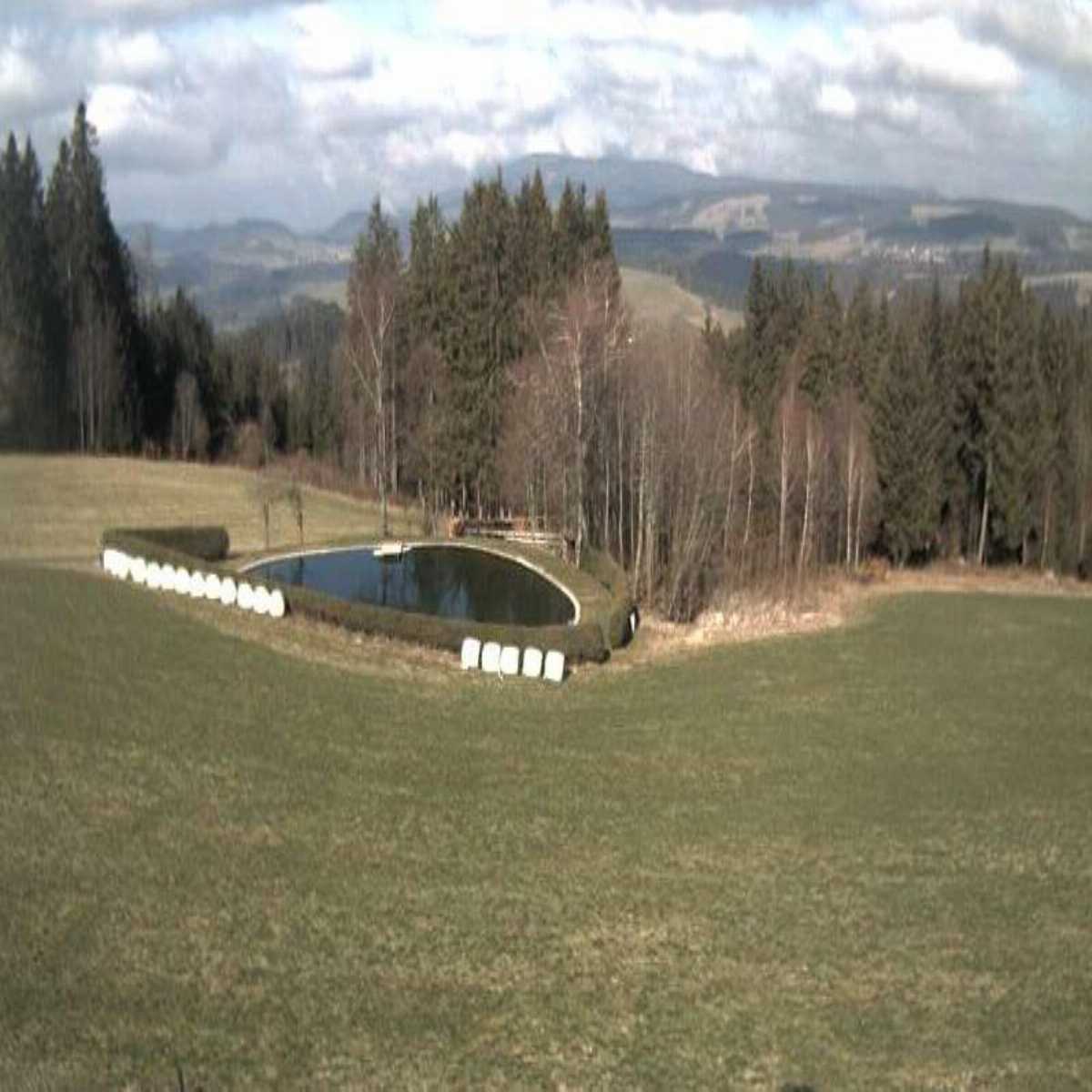 Schallstadt webcam