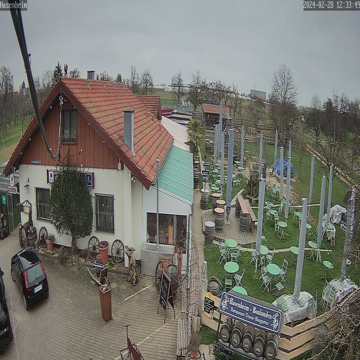 Schallstadt webcam
