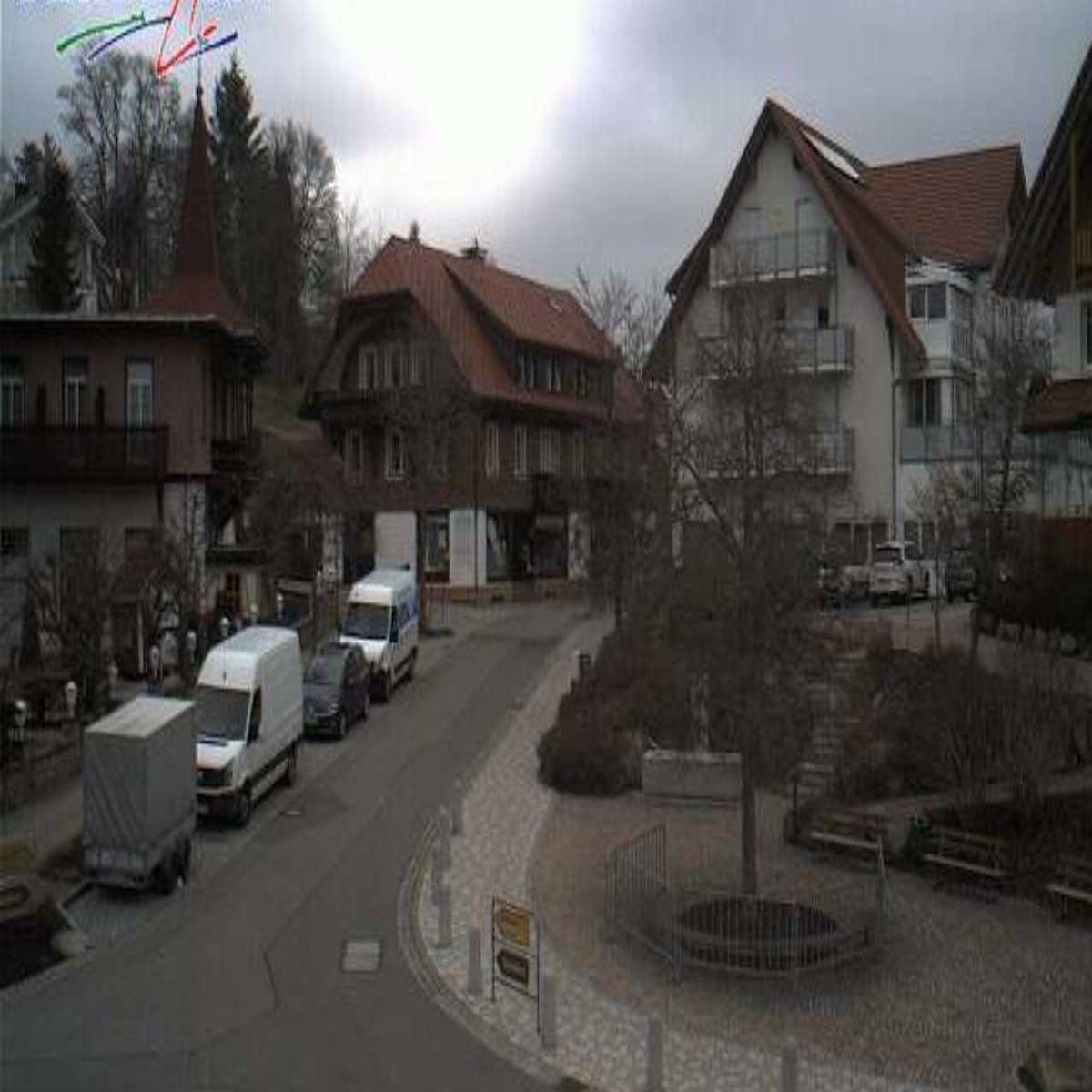 Schallstadt webcam