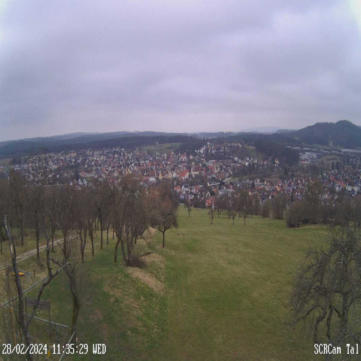 Zachenberg webcam