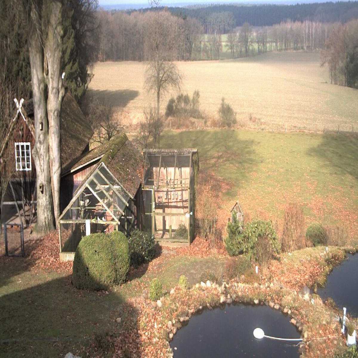 Reppenstedt webcam