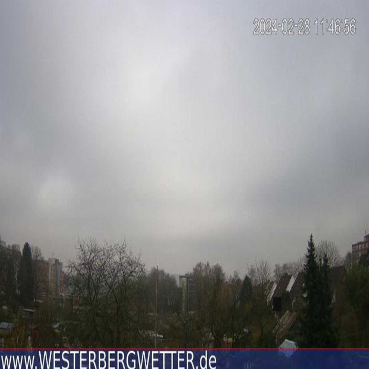Reppenstedt webcam