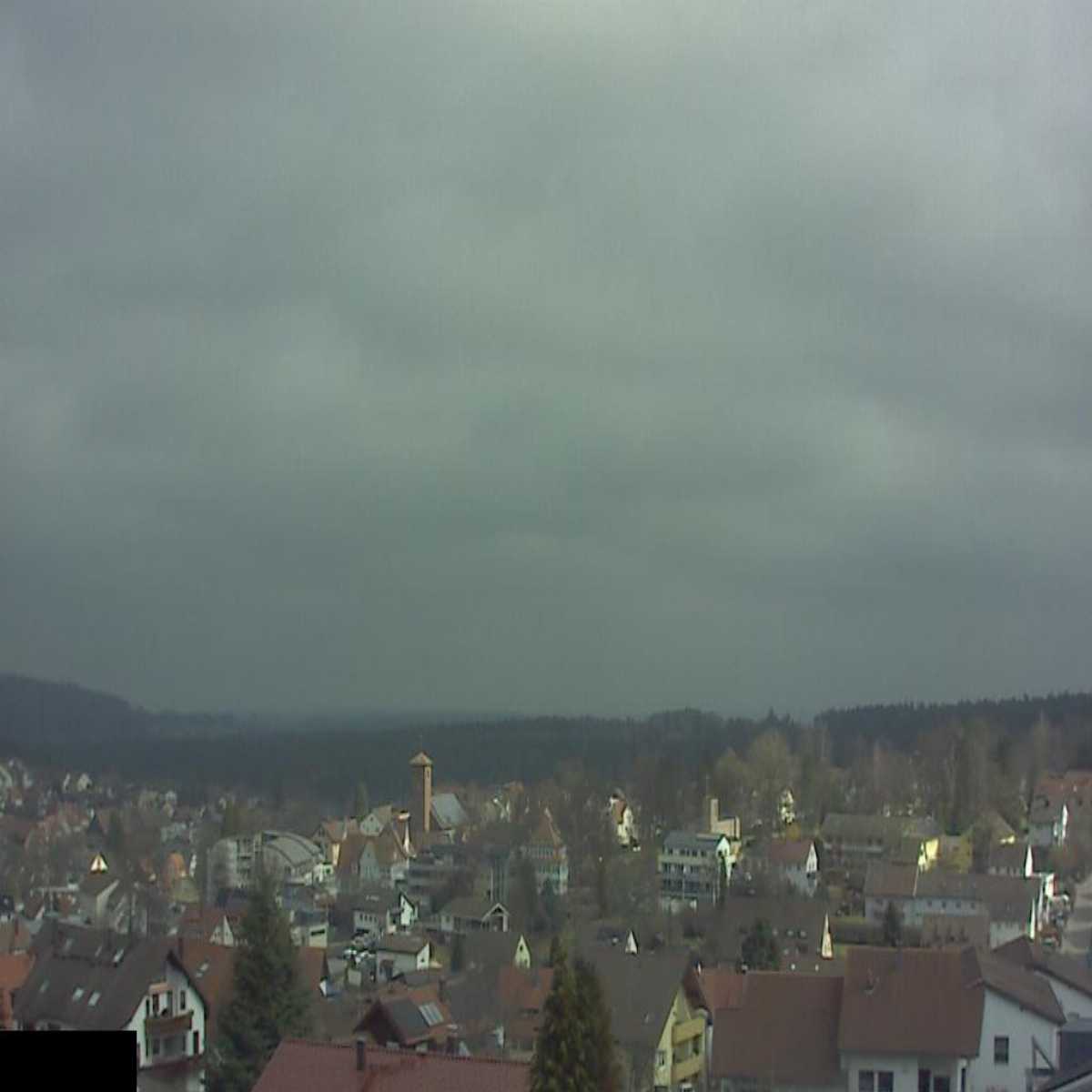 Schallstadt webcam