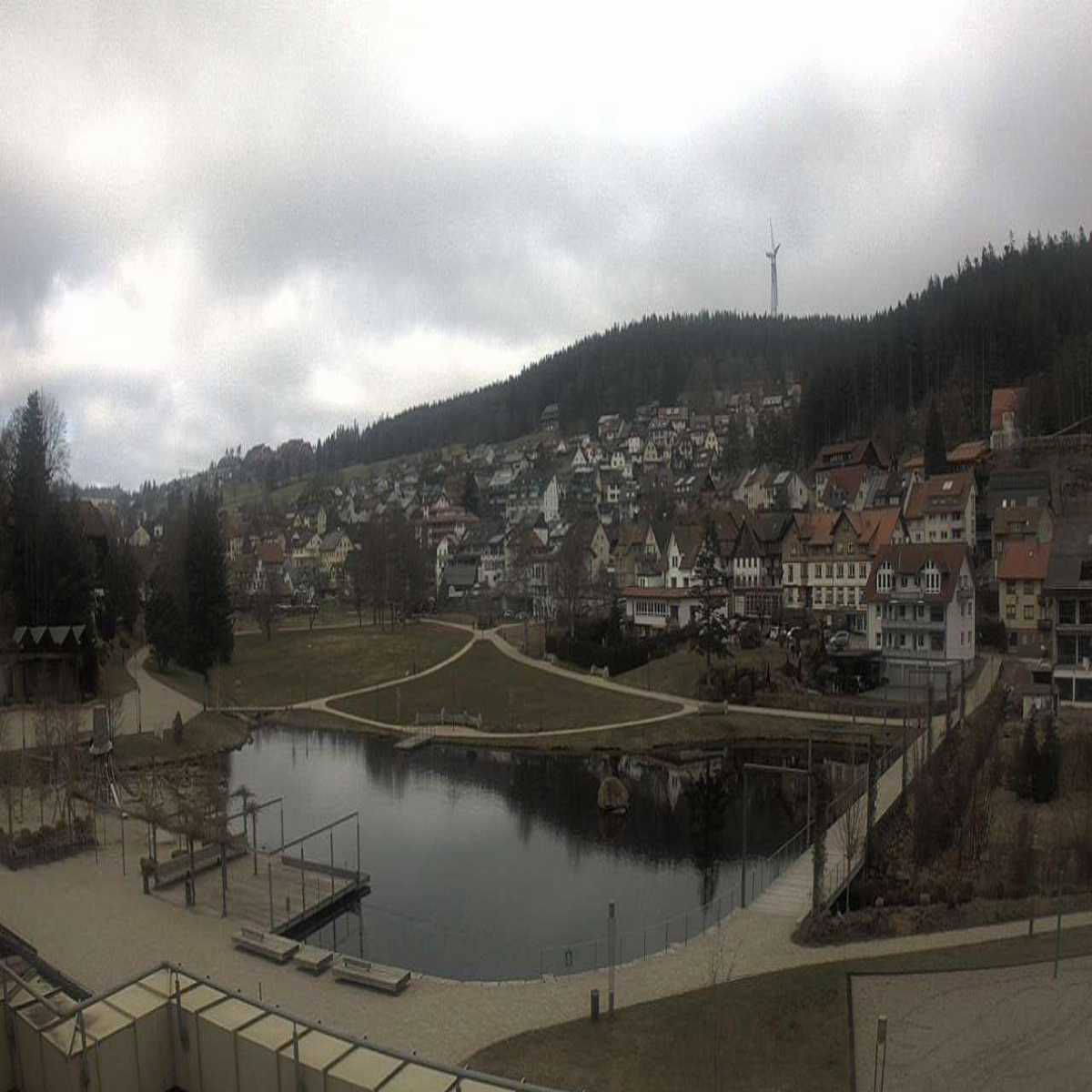 Schallstadt webcam