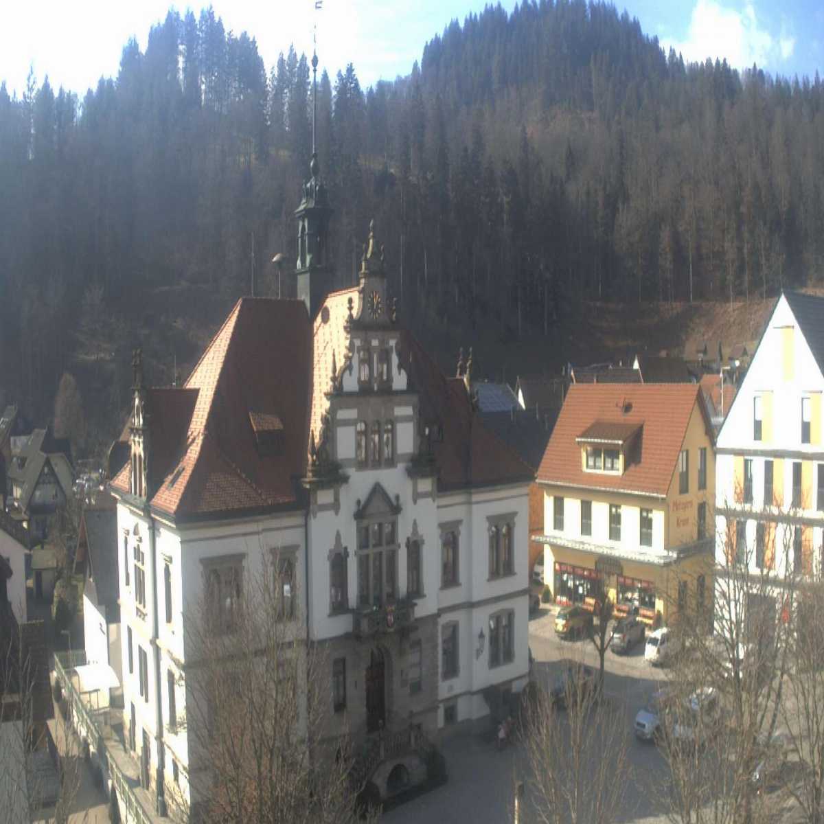 Schallstadt webcam