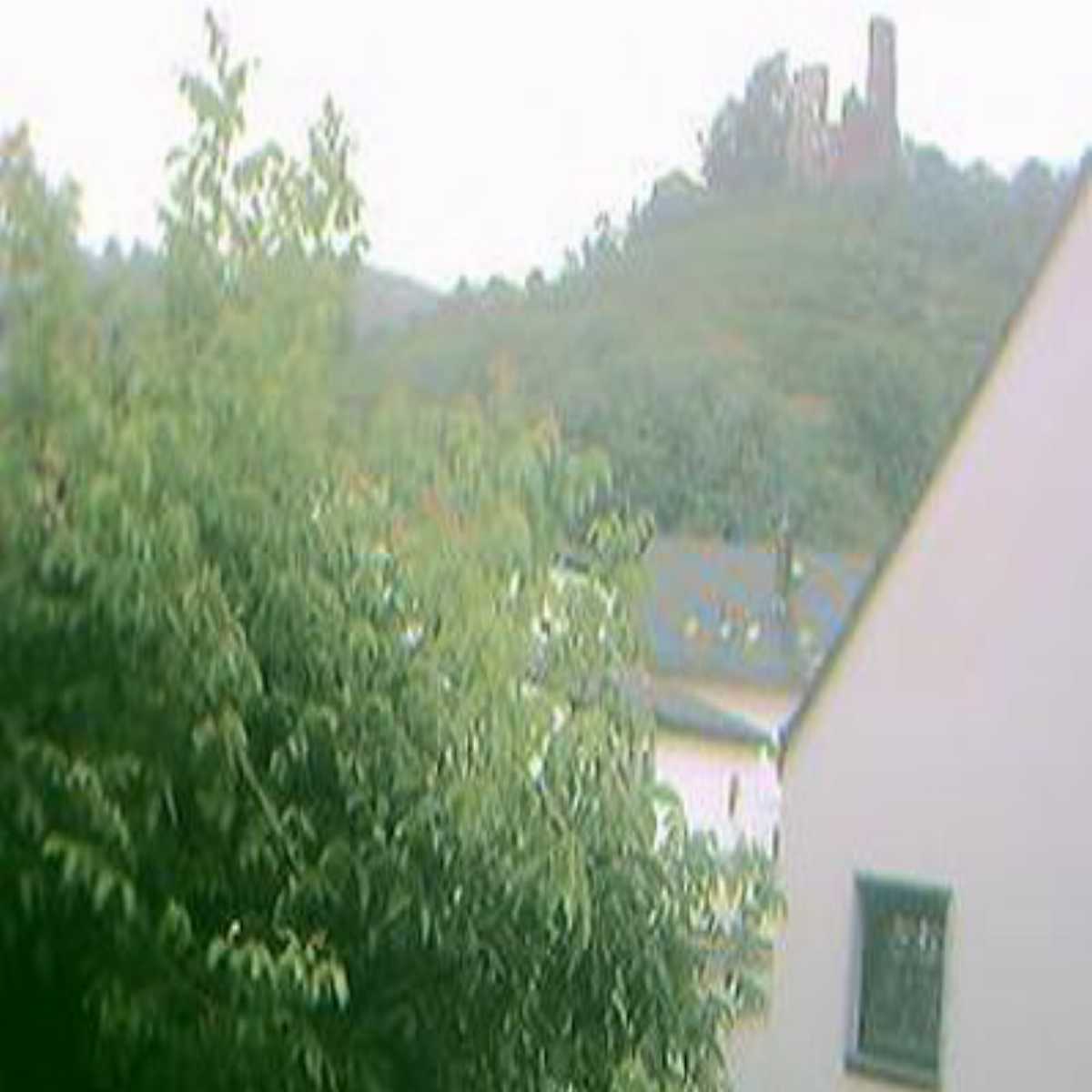 Schallstadt webcam