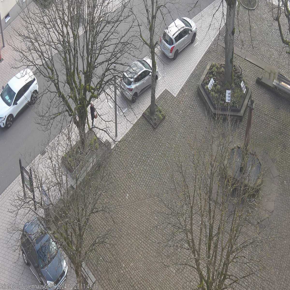Schallstadt webcam
