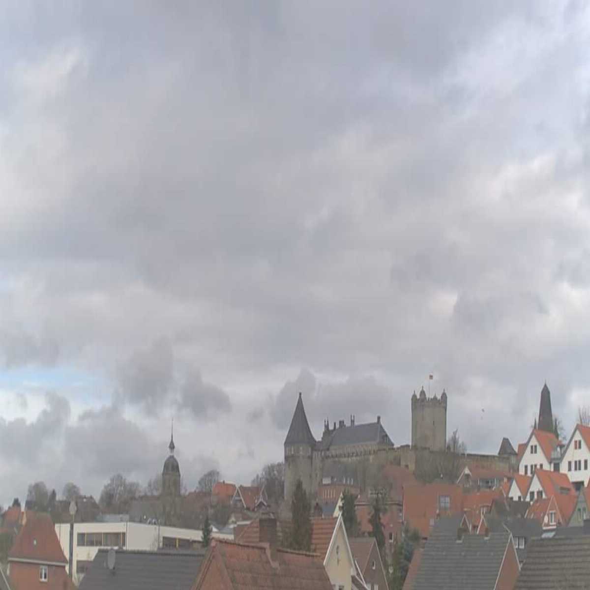 Reppenstedt webcam