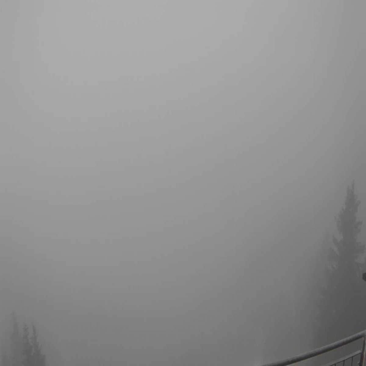 Zachenberg webcam