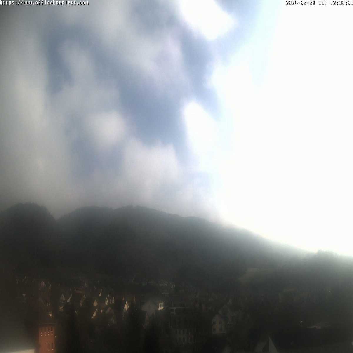Schallstadt webcam