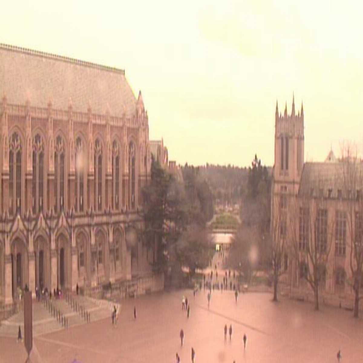 Kingston webcam