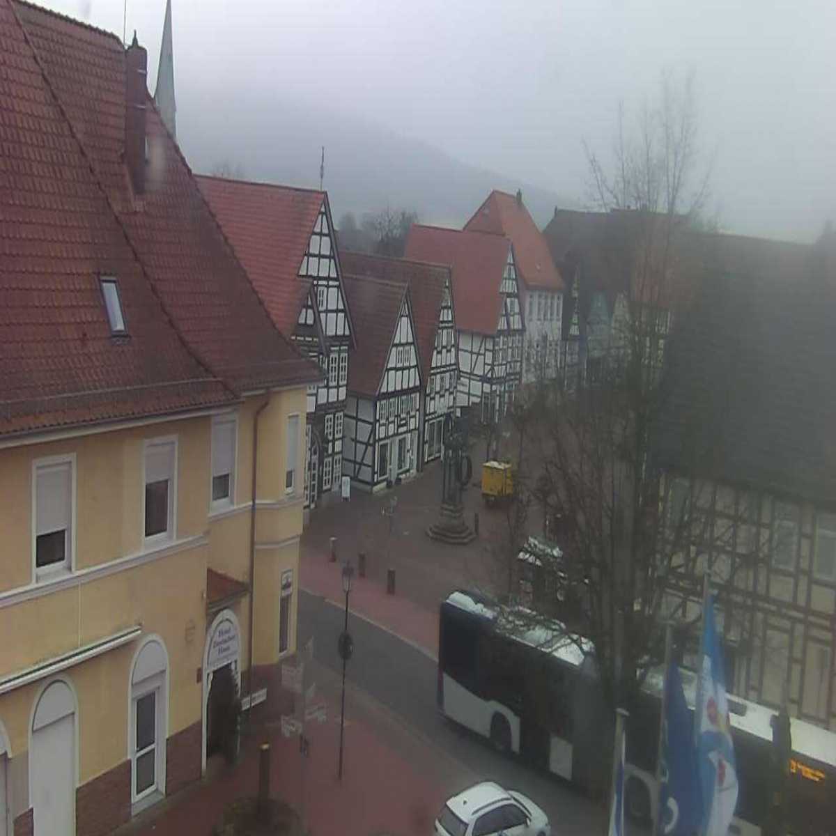 Reppenstedt webcam