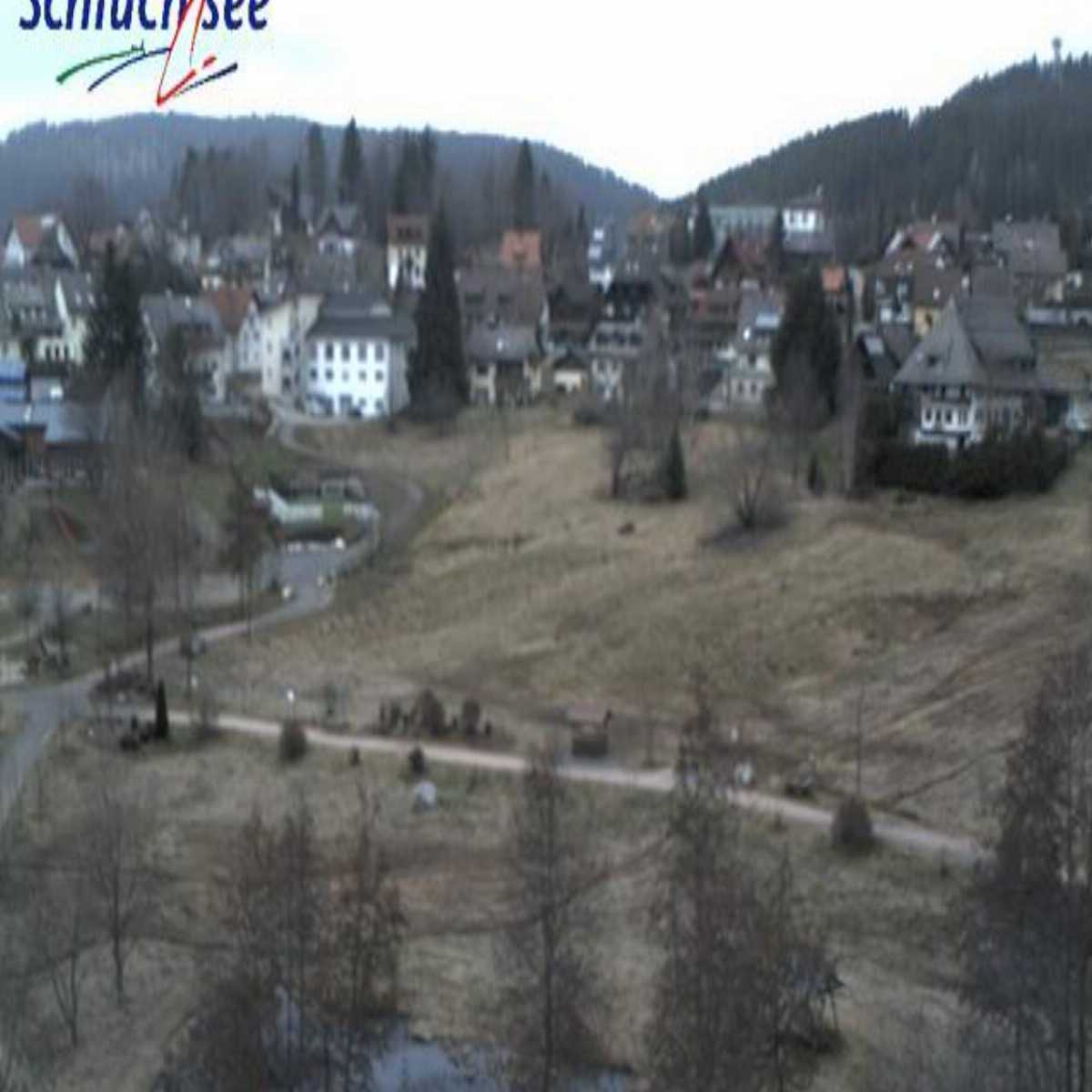 Schallstadt webcam