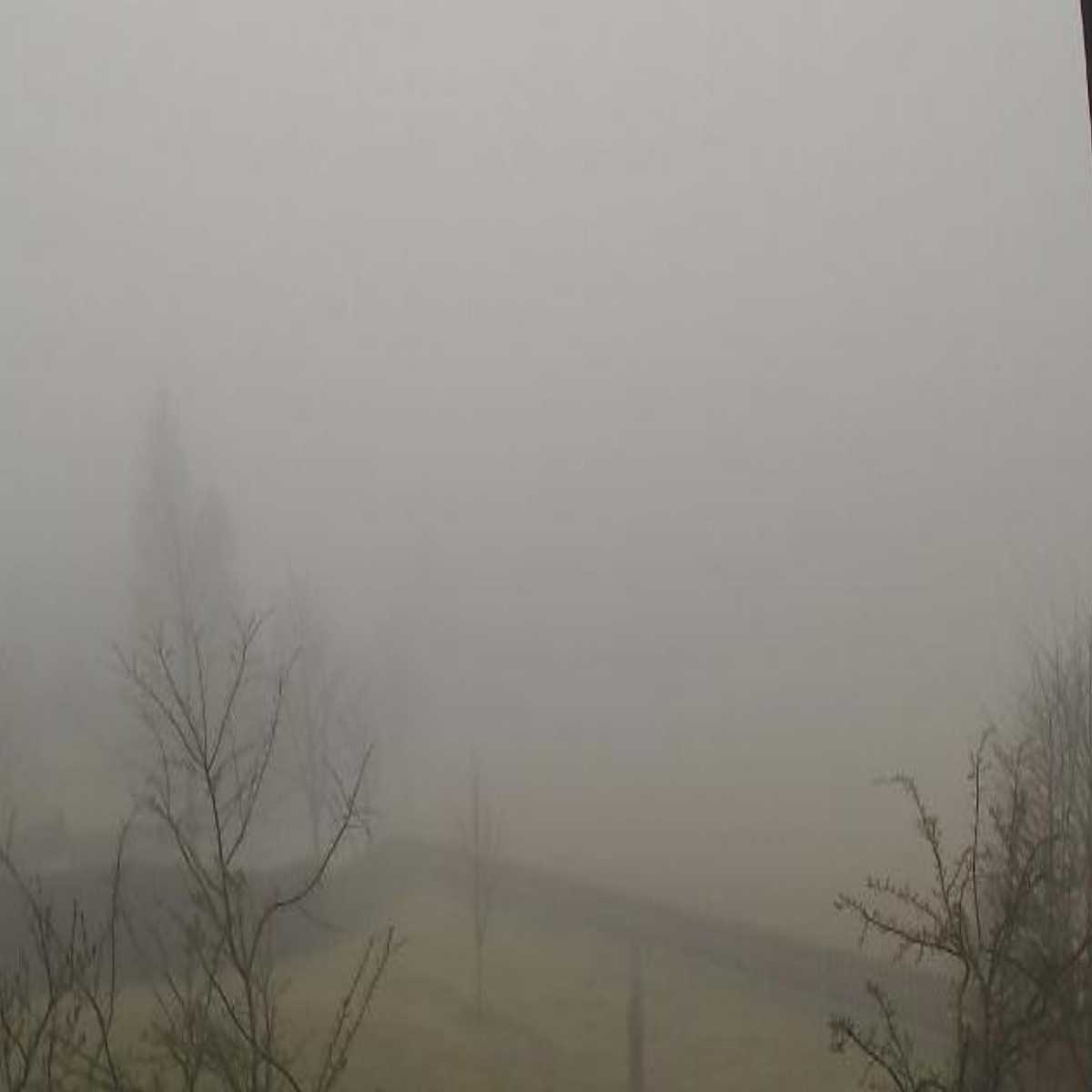 Klingenberg webcam
