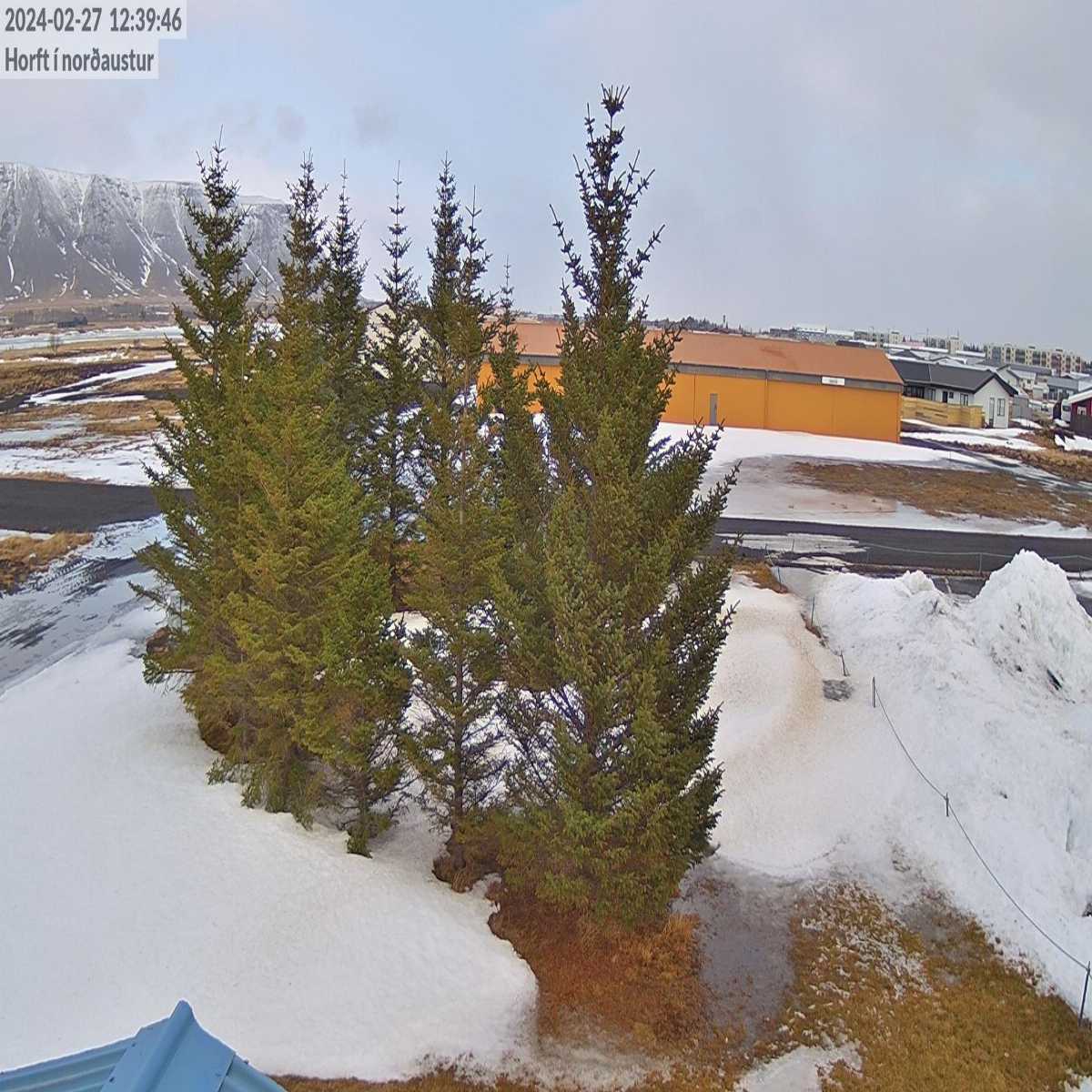 Selfoss webcam
