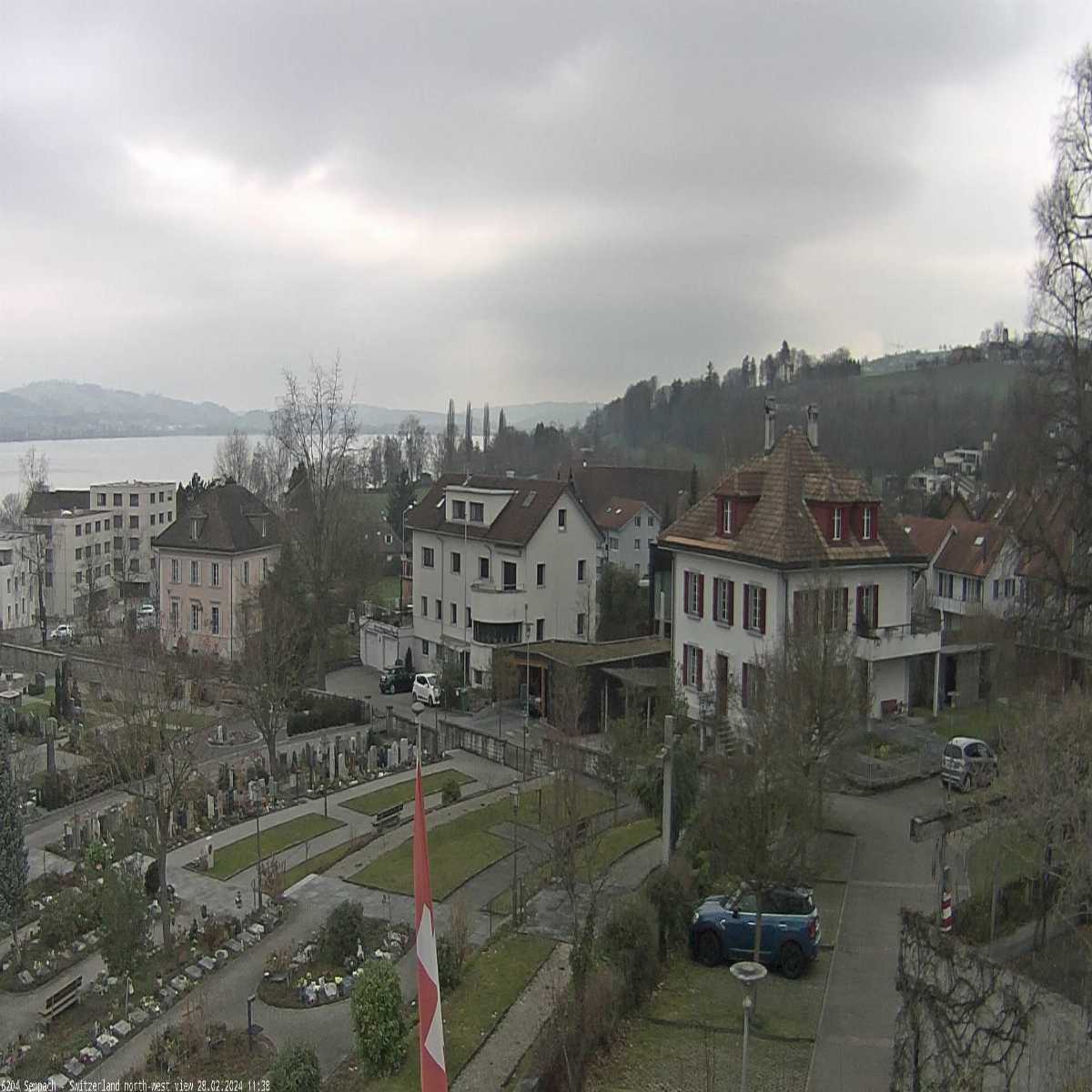 Root webcam