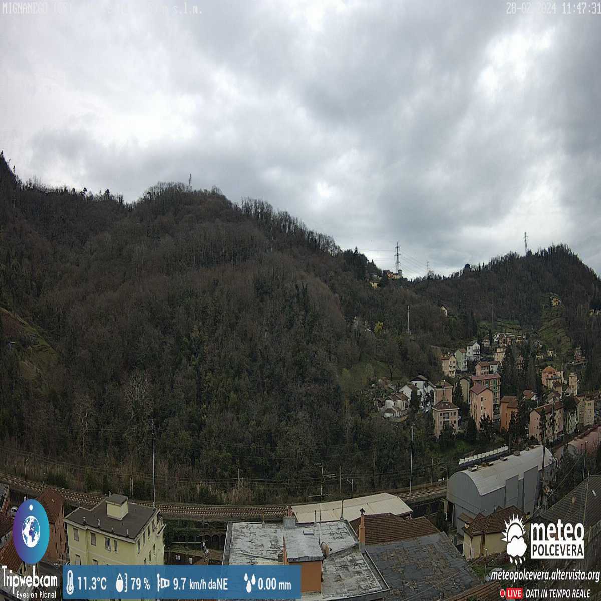 Imperia webcam