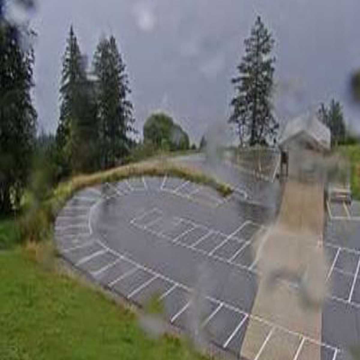 Wildhaus webcam