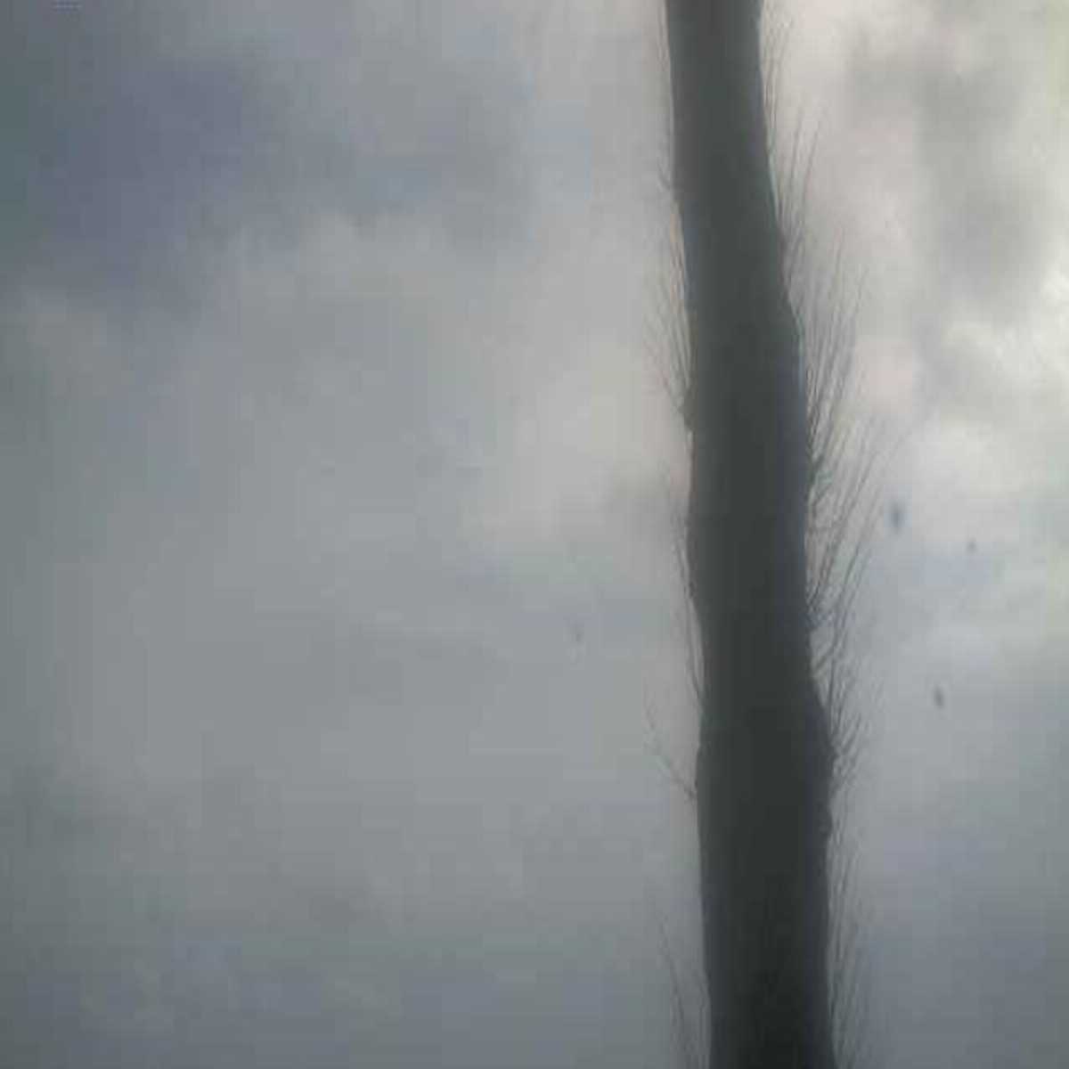 Reinbek webcam