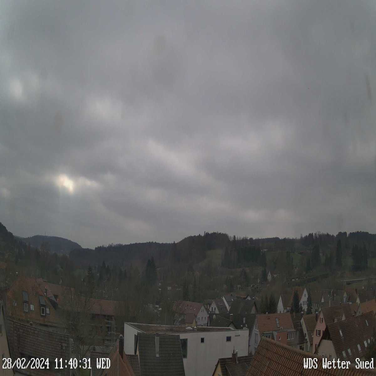 Schallstadt webcam