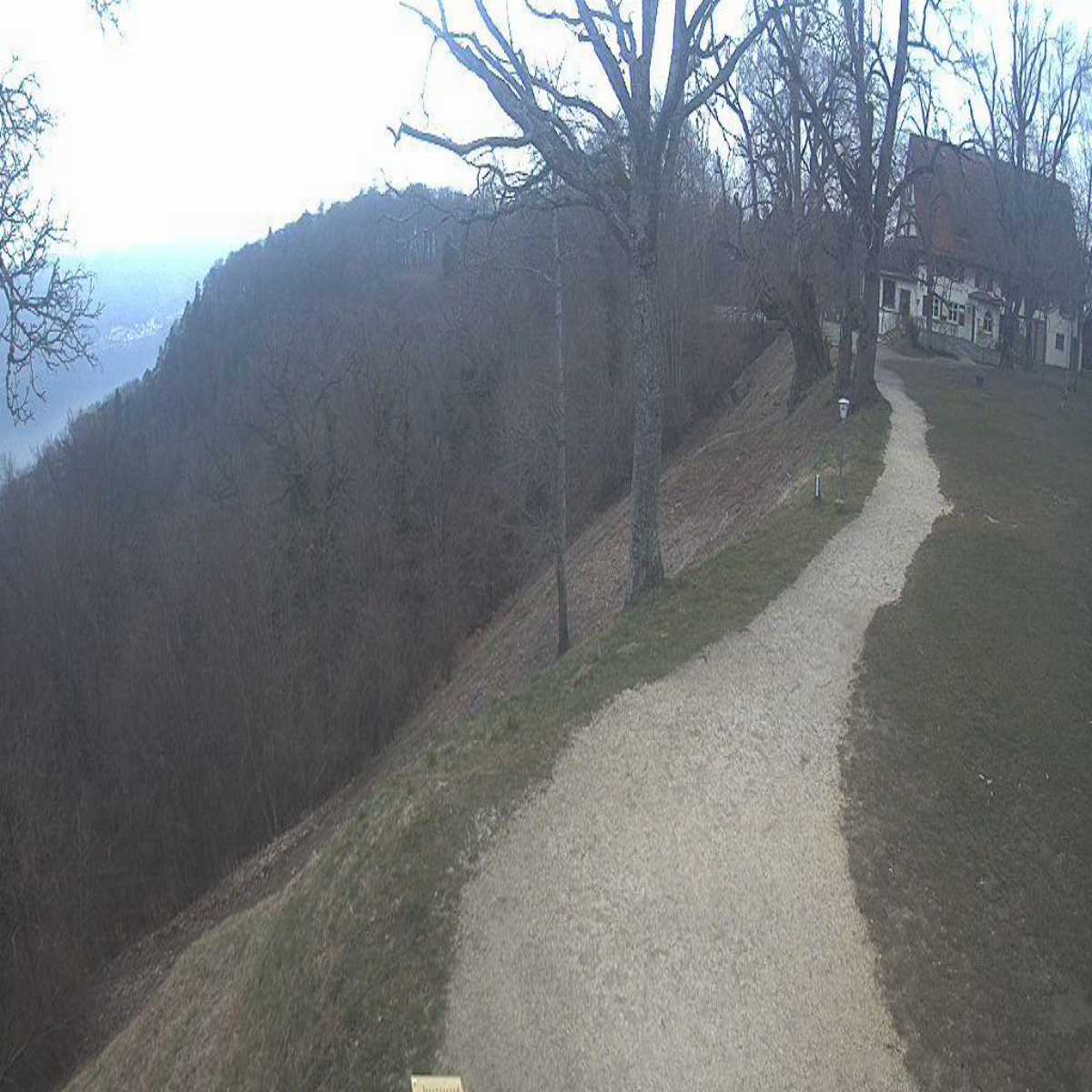 Schallstadt webcam