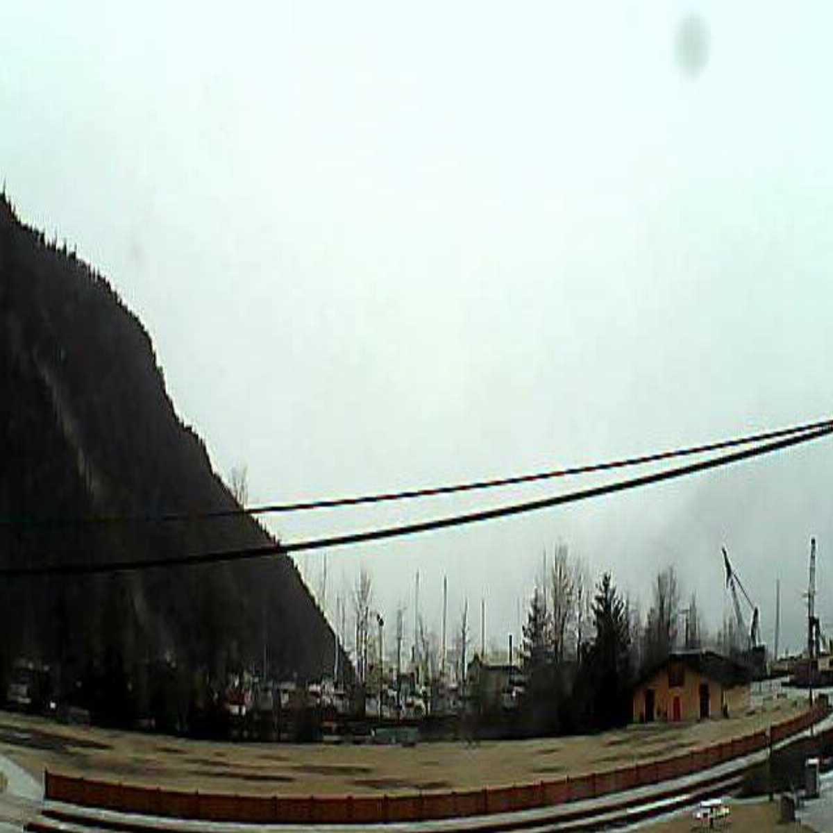 Homer webcam